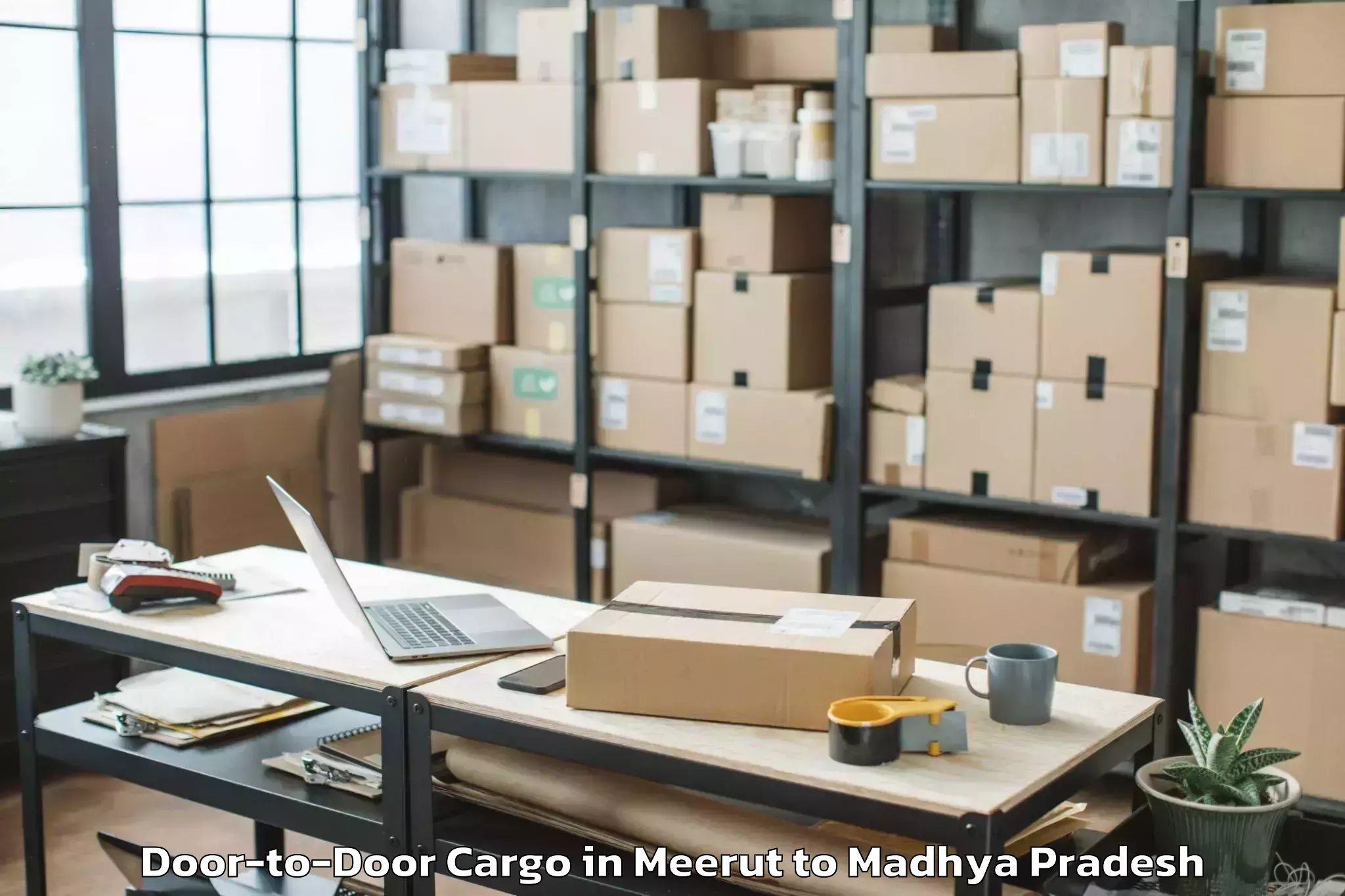 Expert Meerut to Medi Caps University Indore Door To Door Cargo